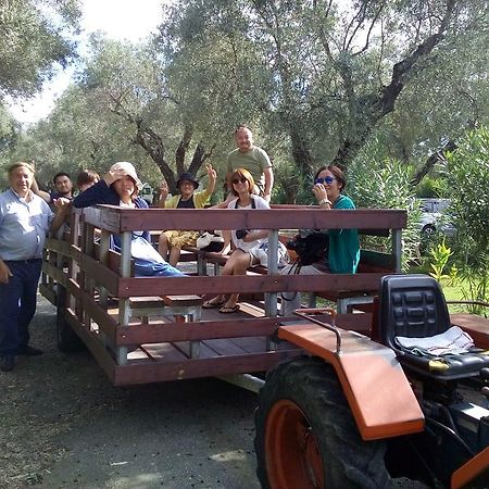 Agriturismo Il Maresciallo Villa Cariati Bagian luar foto