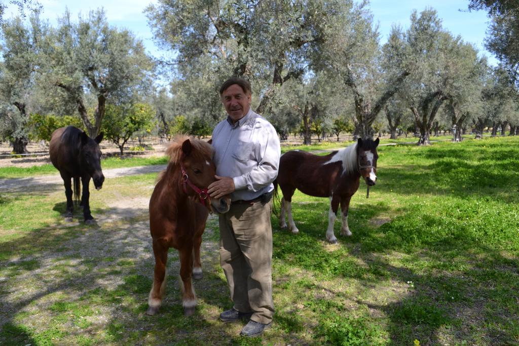 Agriturismo Il Maresciallo Villa Cariati Bagian luar foto