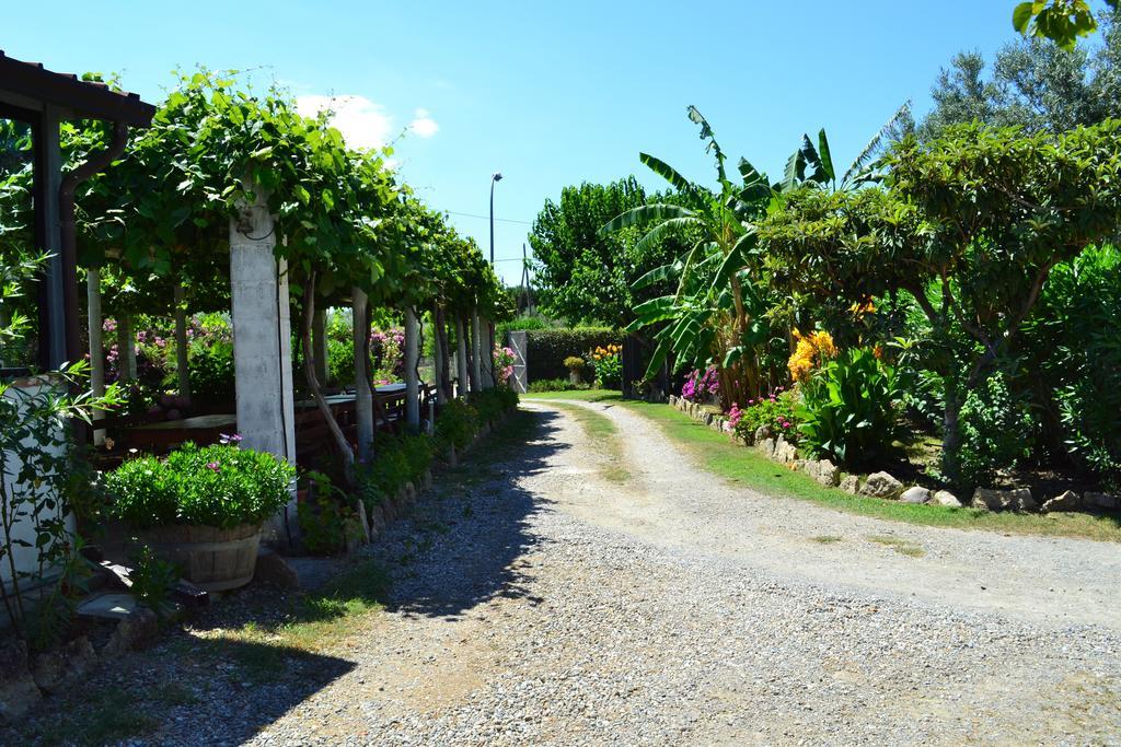 Agriturismo Il Maresciallo Villa Cariati Bagian luar foto